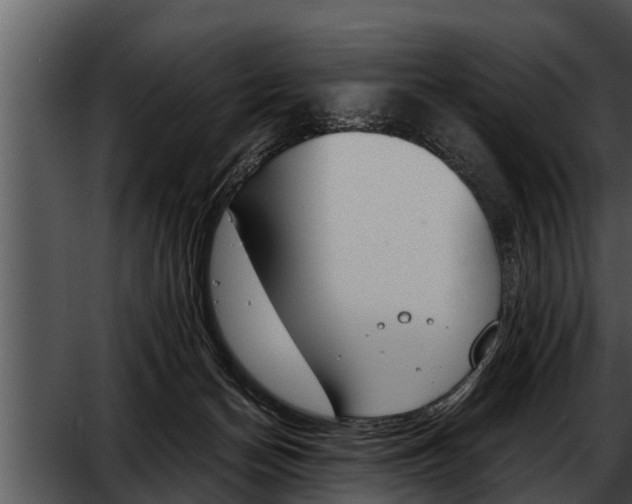 X0000052610174200507160047