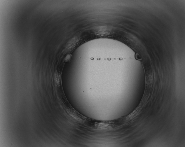 X0000052610180200507160047