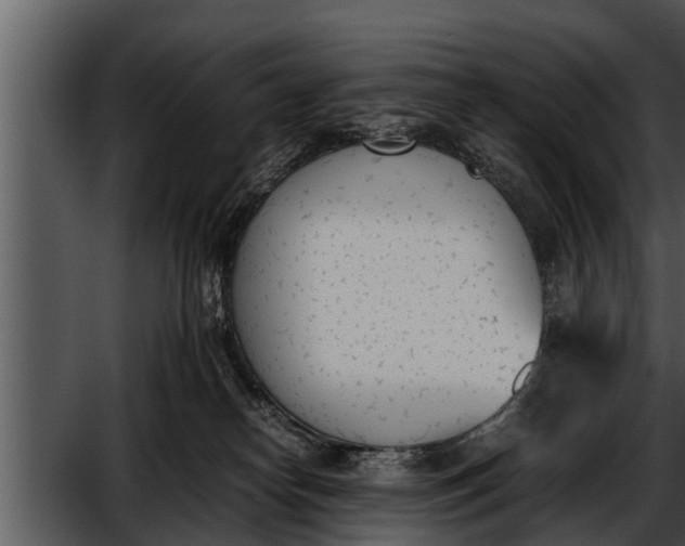 X0000052610182200507160047