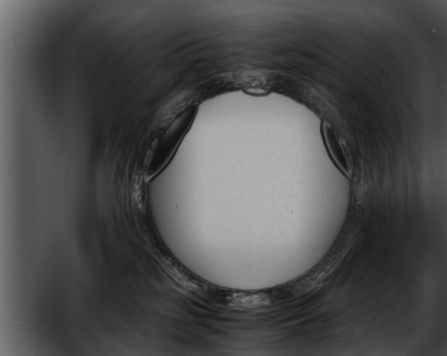 X0000052610185200507160047