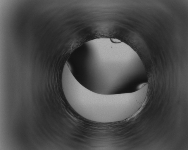 X0000052610186200507160047