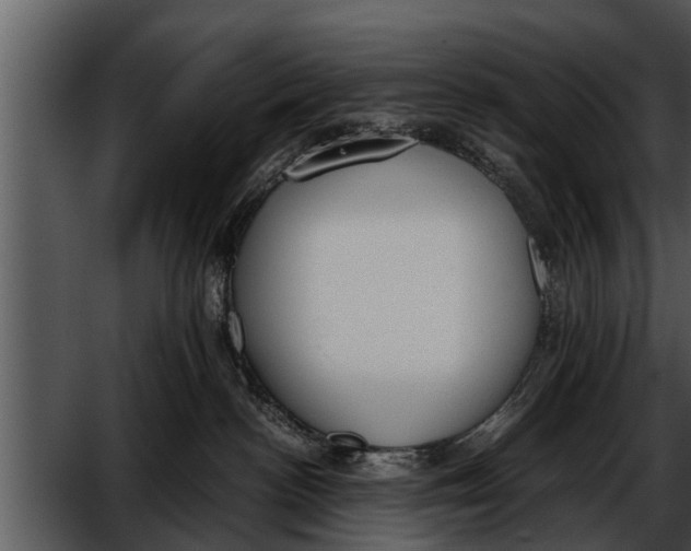 X0000052610188200507160047