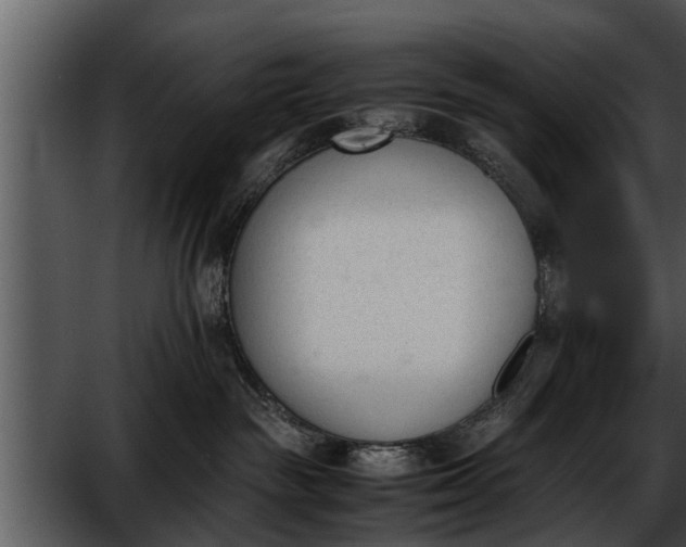 X0000052610189200507160047