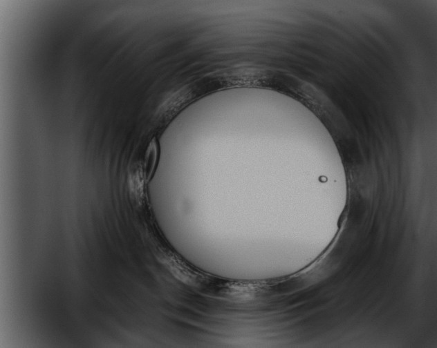 X0000052610190200507160047