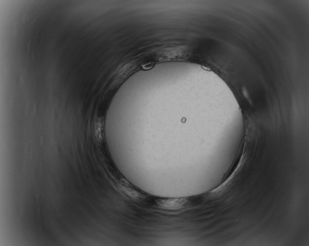 X0000052610191200507160047