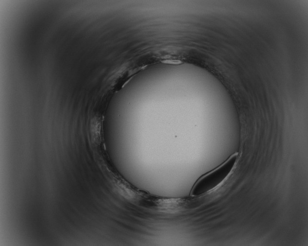 X0000052610192200507160047