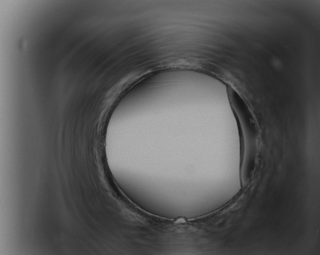 X0000052610193200507160046