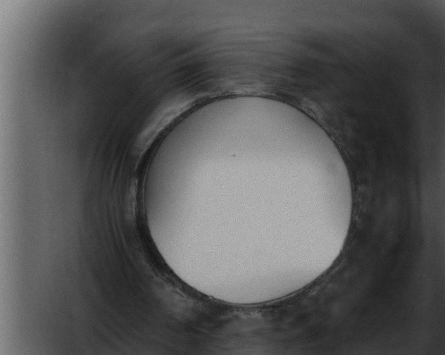 X0000052610194200507160046