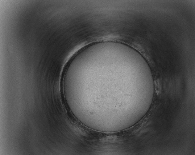 X0000052610196200507160046