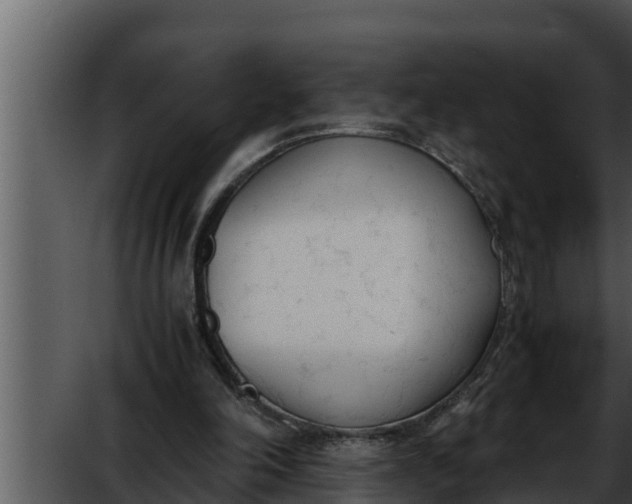 X0000052610198200507160046