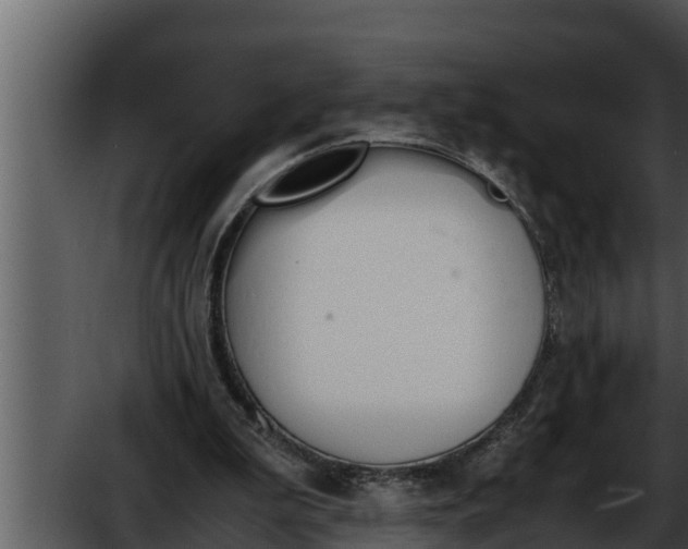 X0000052610199200507160046