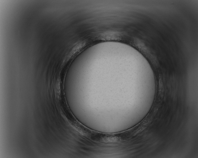 X0000052610202200507160046