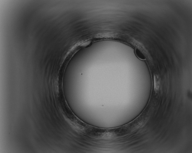 X0000052610204200507160046