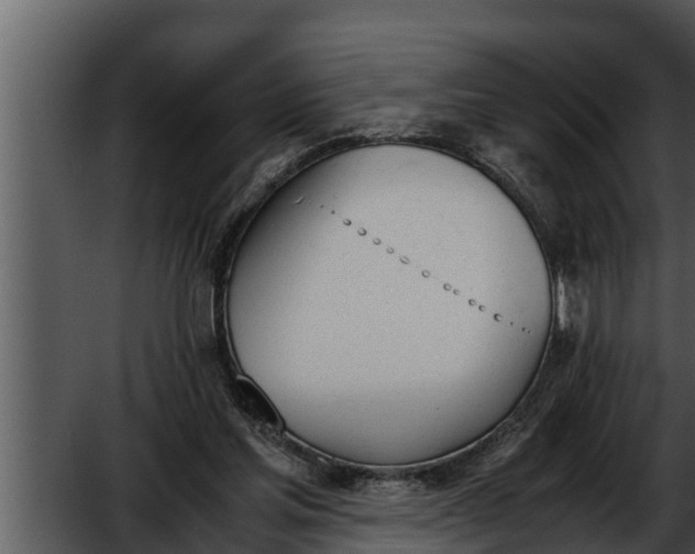 X0000052610205200507160046