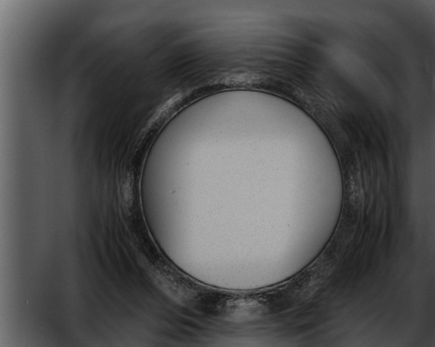 X0000052610208200507160046