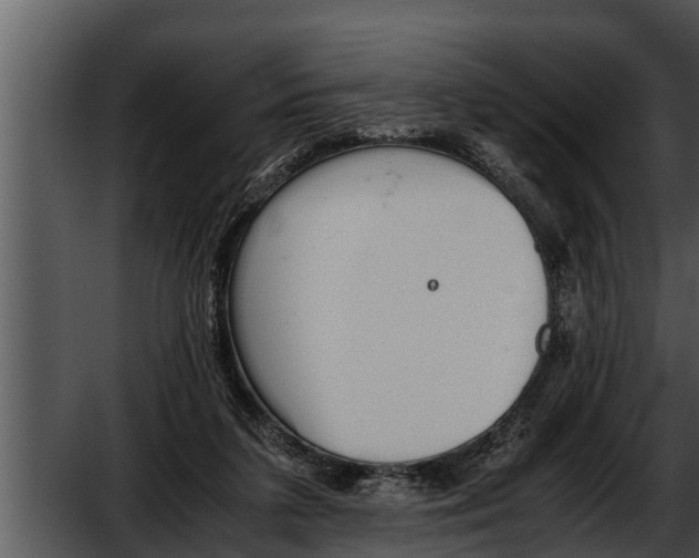 X0000052610211200507160046