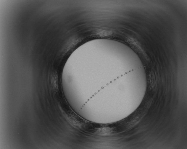 X0000052610212200507160046