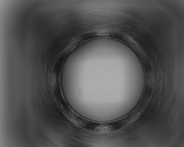 X0000052610213200507160046