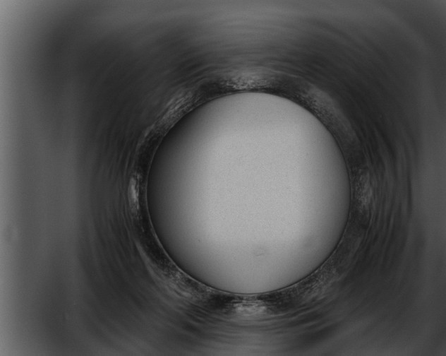 X0000052610214200507160046