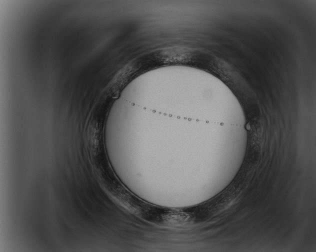 X0000052610215200507160046