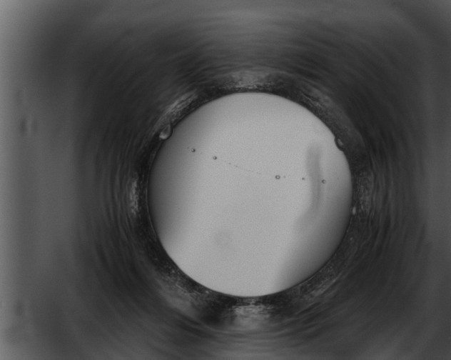 X0000052610216200507160046