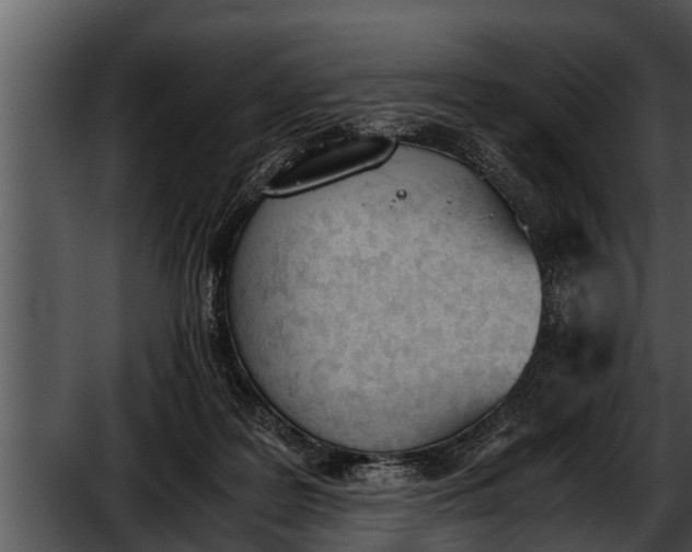 X0000052610219200507160046