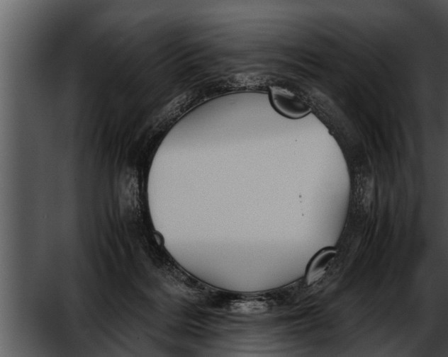 X0000052610220200507160046