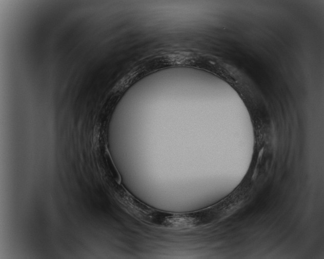 X0000052610221200507160046