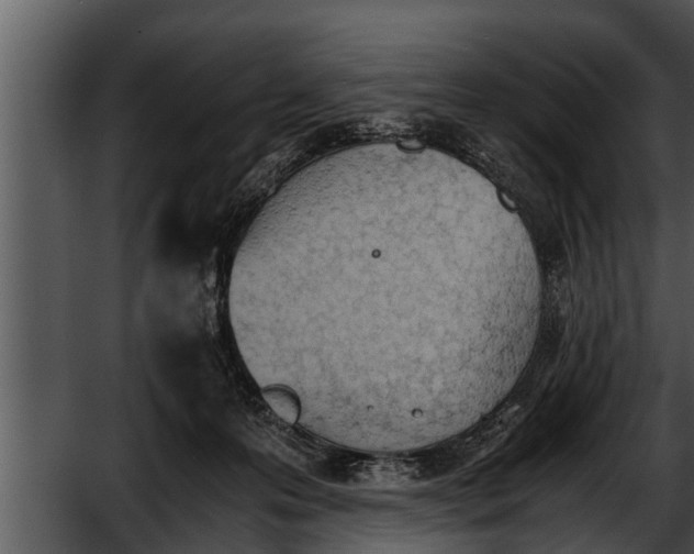 X0000052610223200507160046