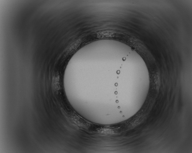 X0000052610224200507160046