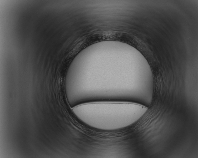 X0000052610225200507160046