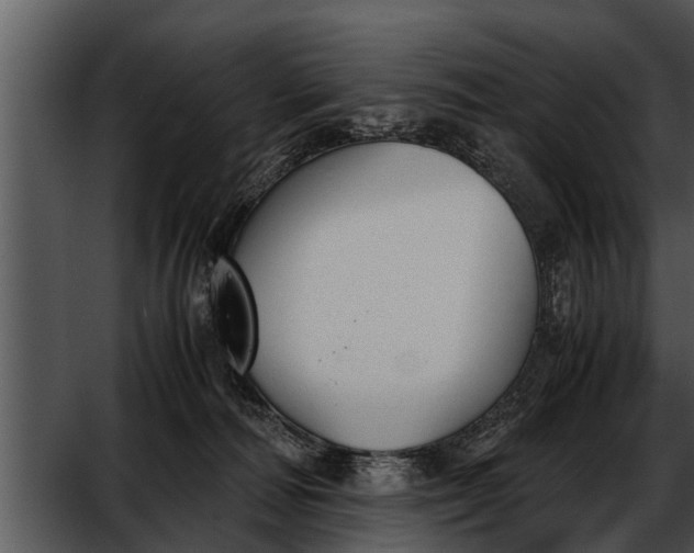 X0000052610226200507160046