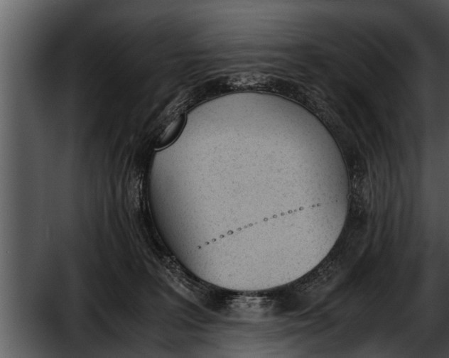 X0000052610227200507160046