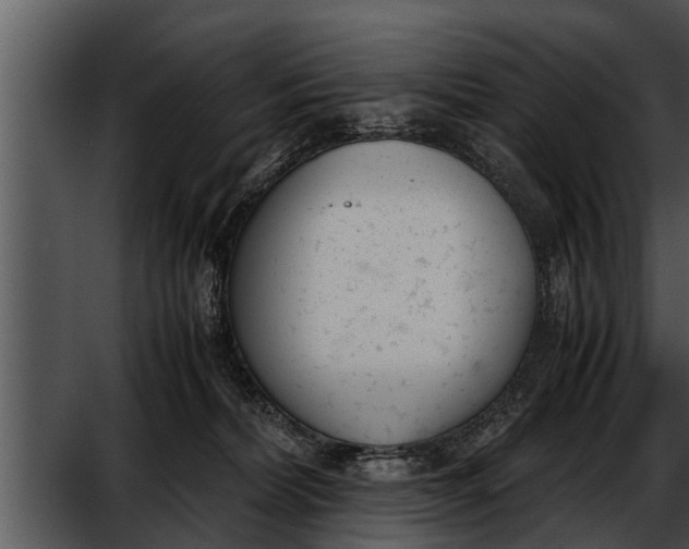 X0000052610228200507160046