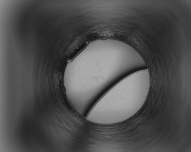 X0000052610229200507160046