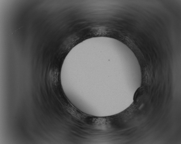 X0000052610230200507160046