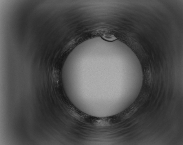 X0000052610232200507160045