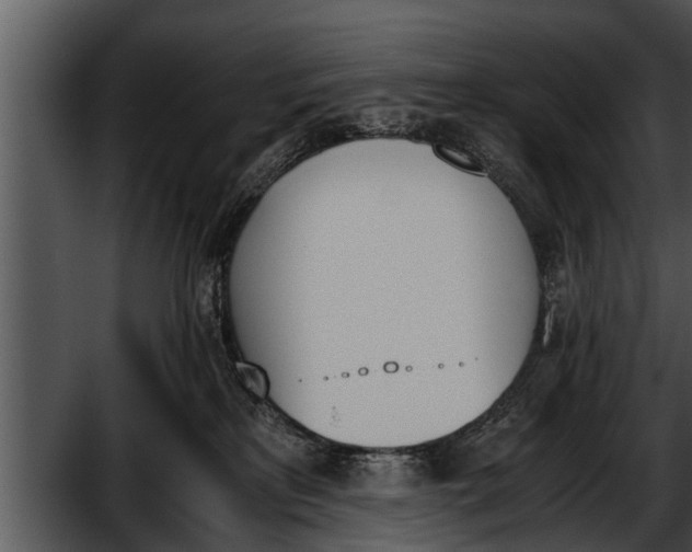 X0000052610233200507160045