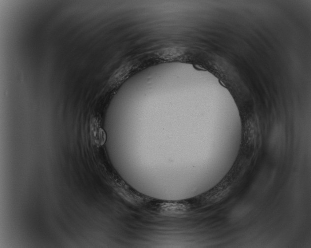 X0000052610234200507160045