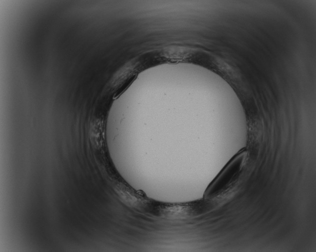 X0000052610237200507160045