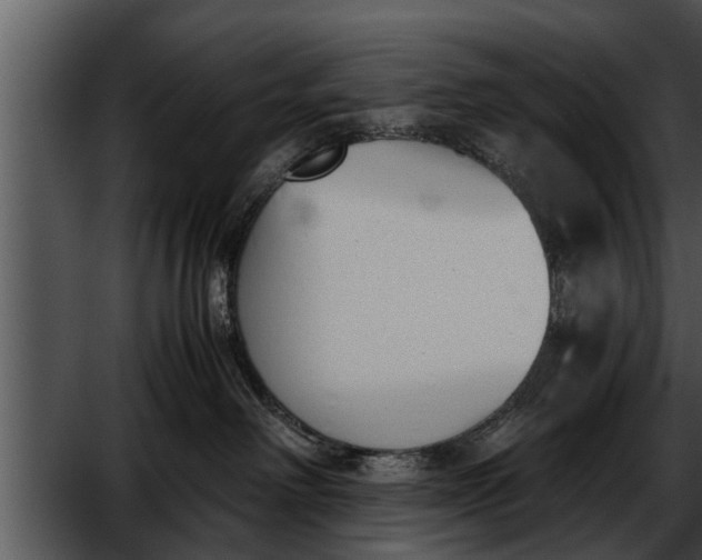 X0000052610238200507160045