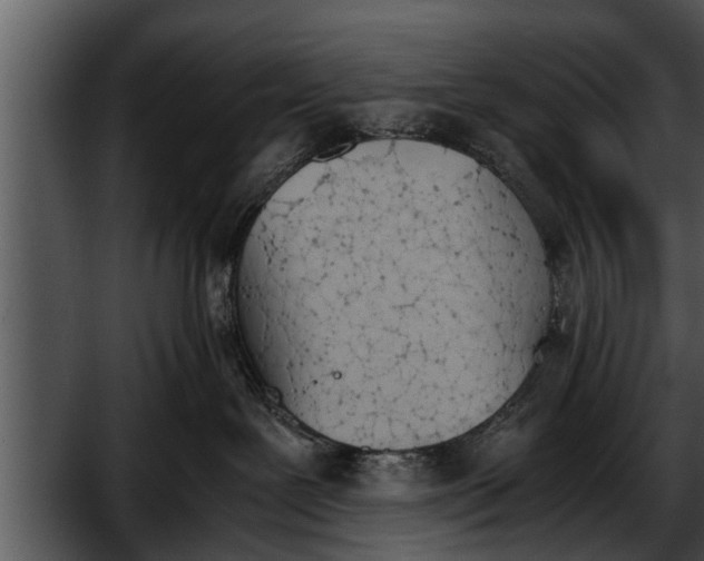 X0000052610239200507160045