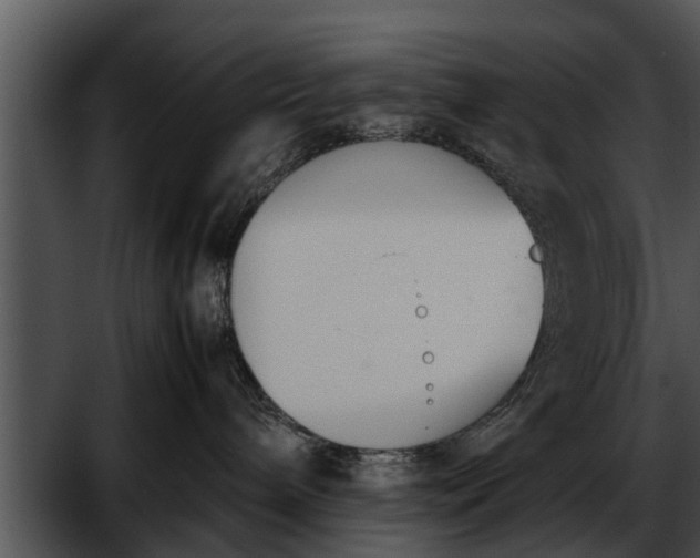 X0000052610240200507160045