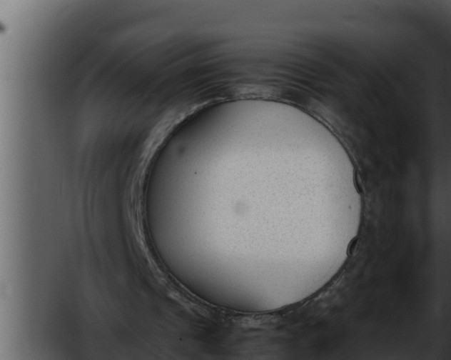 X0000052610241200507160045