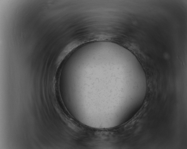 X0000052610242200507160045