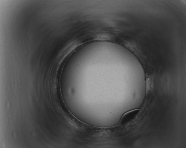 X0000052610243200507160045