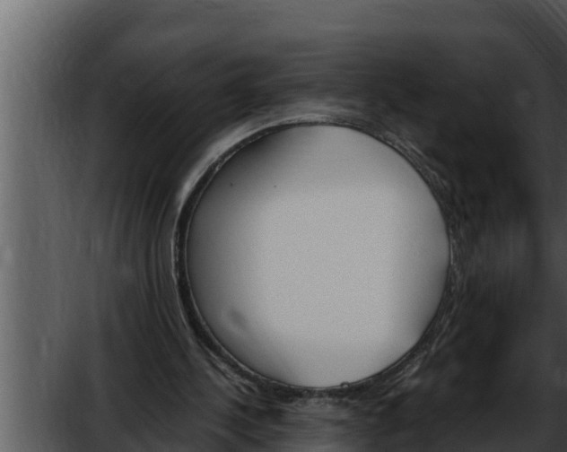 X0000052610244200507160045