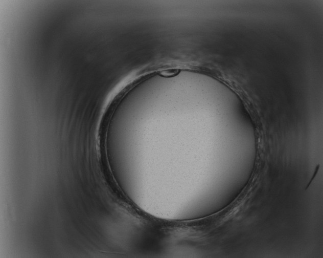 X0000052610246200507160045