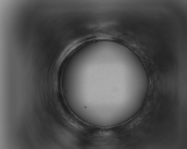 X0000052610247200507160045