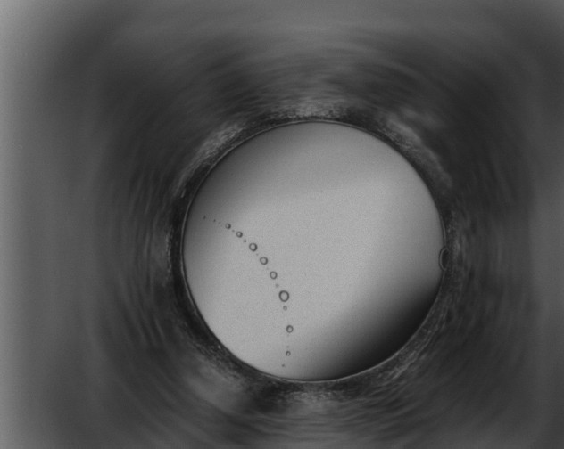 X0000052610250200507160045